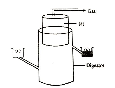 The Diagram Above Is That Of A Typical Biogas Plant Explain The Seque