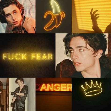 Aesthetic Timothee Chalamet Yellow&Black | Timothee chalamet, Aesthetic ...