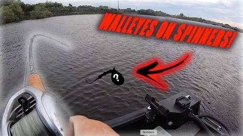 Pulling Spinners For River Walleyes YouTube