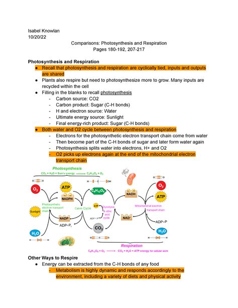 General Biology 1 Notes Isabel Knowlan 10 20 Comparisons Photosynthesis And Respiration