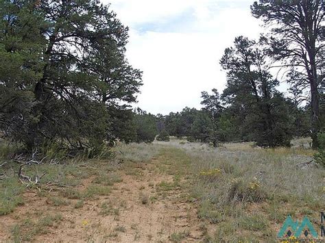 17 Gods Acre Rd #A, Pinehill, NM 87357 | Zillow