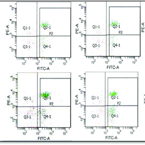 Mature Cd4 Or Cd8 Positive T Lymphocytes In Spleen Of Experimental Download Scientific Diagram