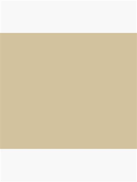 Soybean Color Trends New York And London Spring Summer 2019