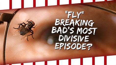 Fly Br Ba S Most Divisive Episode YouTube