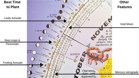 Planting By Moon Signs Calendar 2025au Daniela Hope