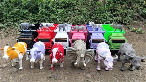 Mobil Truk Oleng Angkut Hewan Mainan Lucu Sapi Warna Warni Gajah Kerbau