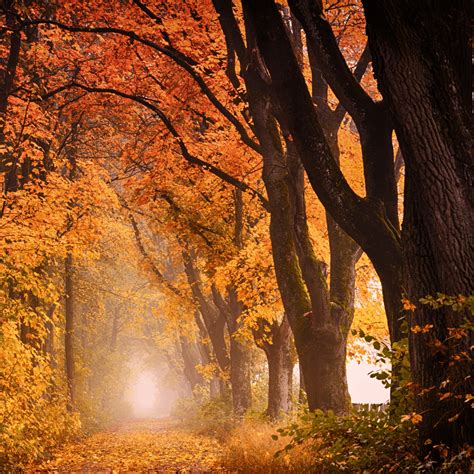 Voeding En Vitamines Tijdens De Herfst Tips Voor De Donkere Dagen