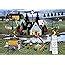 Amazon Buffalo Games Charles Wysocki Love Large Piece