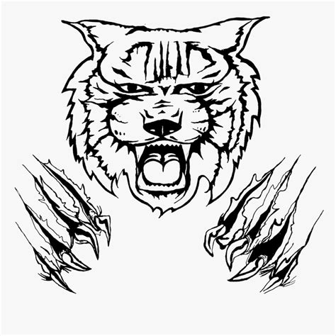 Claw Marks Png - Wildcat Png, Transparent Png - kindpng