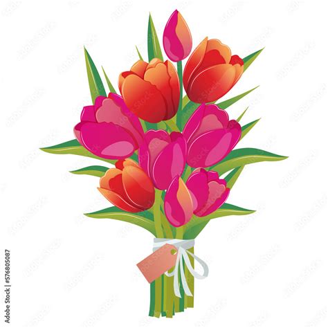Free Clip Spring Tulips Download Free Clip Spring Tulips Png Images