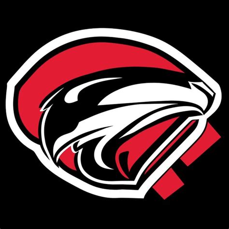 logo   falcons football team vector illustration premium ai