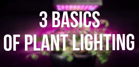 The 3 Basics of Plant Lighting - NoSoilSolutions