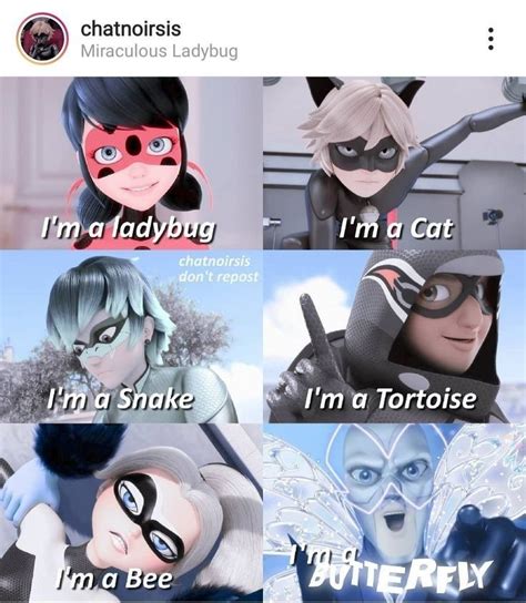 Lol Miraculous Ladybug Funny Miraculous Ladybug Memes Miraculous