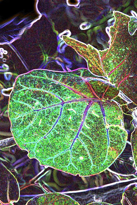 Leaf Relief Photograph by Christiane Schulze Art And Photography - Fine ...