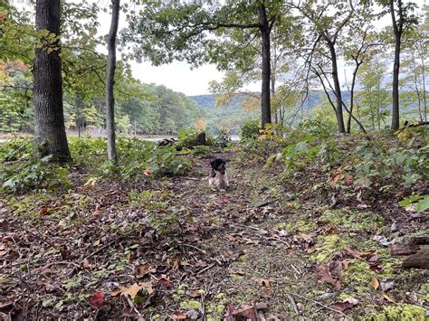 Back Creek Valley West Virginia Beadmanhere Flickr