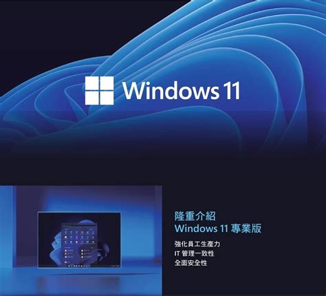 Microsoft 微軟 【南紡購物中心】 Windows 11 專業中文版 64位元隨機版 Pchome 24h購物