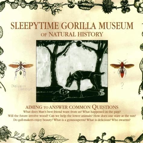 Sleepytime Gorilla Museum Of Natural History Reviews