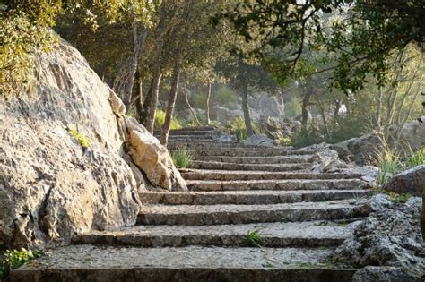 Faire Un Escalier Dans Un Talus Pentu Les Outils Indispensables