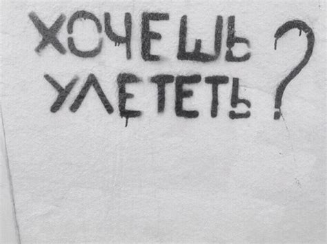Подборка надписей | Пикабу