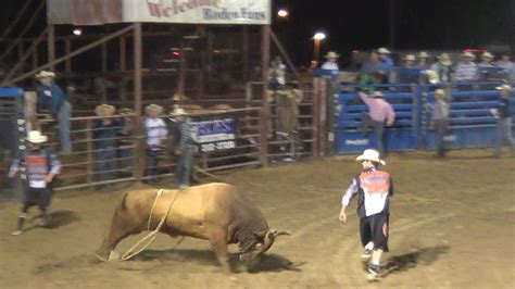 Rodeo Bull Riding Watch Bull Fighters Chased By Mad Bulls Youtube