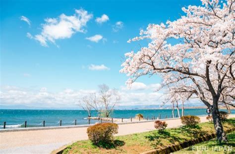 What Is The Most Prominent Lake In Japan Lake Biwa In Shiga