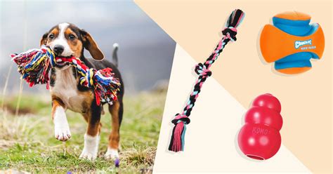 The 16 Best Dog Toys To Entertain Every Type Of Dog In 2021