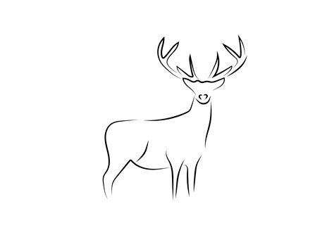 Premium Vector | Deer line art illustration