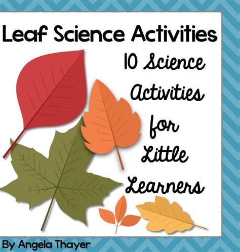 Leaf Science Activities - 10 hands-on activities to teach children about leaves! Fall Preschool ...