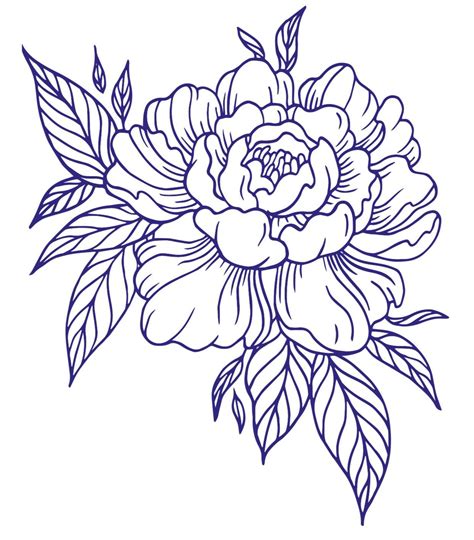 Flower Line Drawings Flower Sketches Outline Drawings Tattoo Design