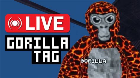 Gorilla Tag Live With Viewers Minigames Codes Youtube