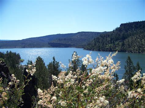 Crook County | Oregon Property Foreclosures