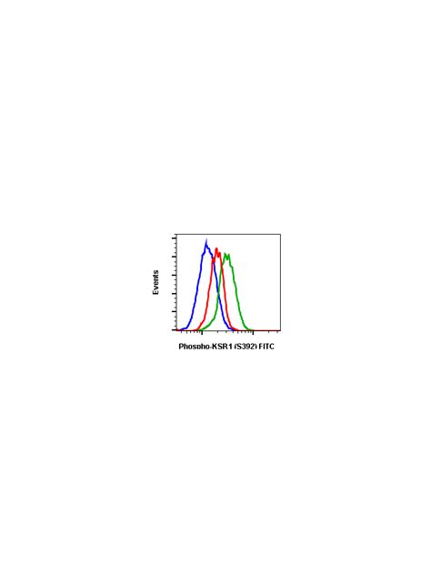 Phospho KSR1 Ser392 3A4 Rabbit MAb FITC Conjugate Abwiz Bio