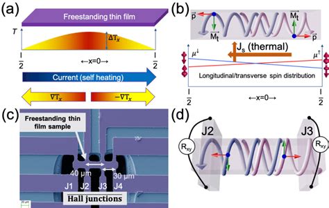 A A Schematic Showing The Expected Longitudinal Temperature