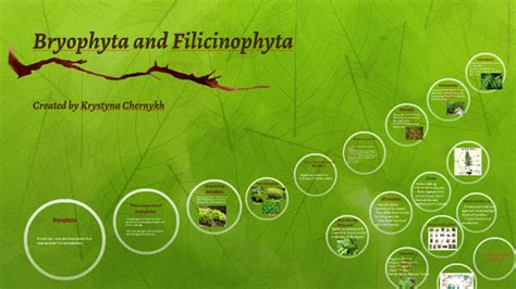 Bryophyta and Filicinophyta by Krystyna Chernykh on Prezi