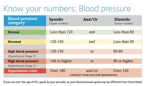 What Is the Normal Blood Pressure Range in Adults? Diastole vs. Systole