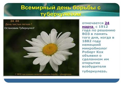 Всемирный день борьбы с туберкулезом - презентация онлайн