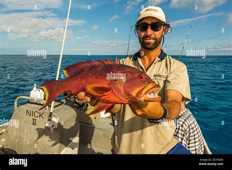 Deep Sea Fishing Trolling In Papua New Guinea Stock Photo Alamy