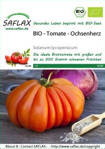 Ochsenherz Tomate Belmonte Ochsenherztomatensamen Von Austrosaat