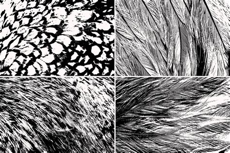 Feathers Textures Creative Finest