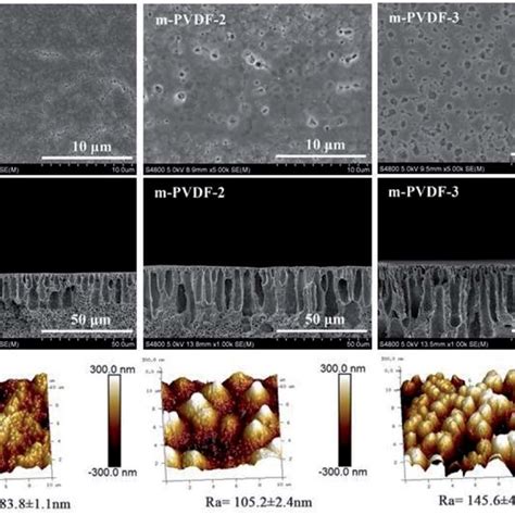 Morphology Characterization Of Blank Pvdf Membrane And Pvdf G Peg