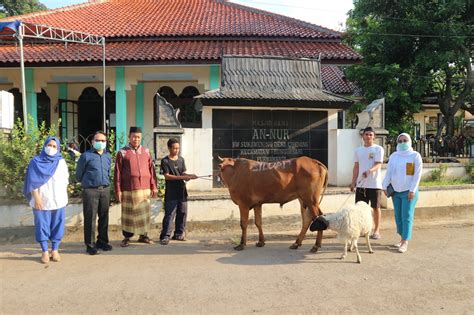 Manajemen Siloam Hospitals Serahkan Hewan Kurban Ekor Sapi Dan