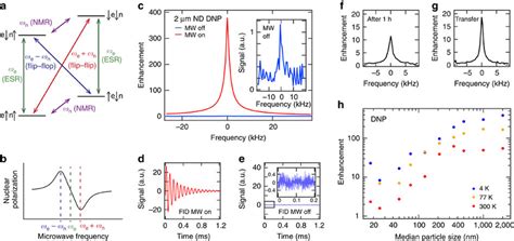 Dynamic Nuclear Polarization Of Nd A B Dnp Via The Solid Effect Is