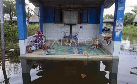 Banjir Rob Di Pekalongan Antara Foto