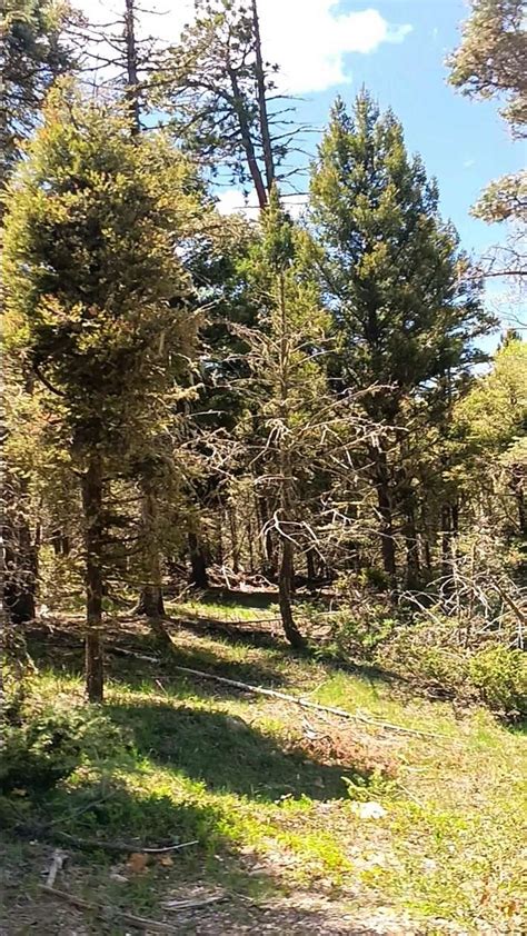 125 Acres Of Residential Land For Sale In Angel Fire New Mexico