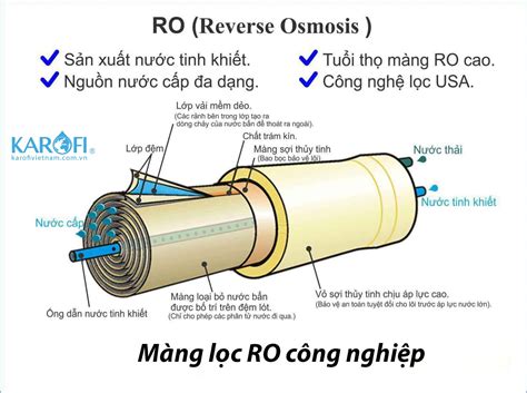 M Ng L C Ro C Ng Nghi P Th Ng Tin Chi Ti T T A Z