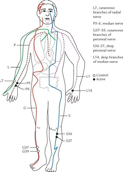 Acupuncture Meridian Chart Acupuncture Meridians Chinese Medicine