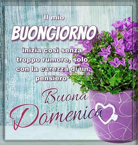 Buongiorno Buona Domenica Con Frase E Fiori Facebookini It