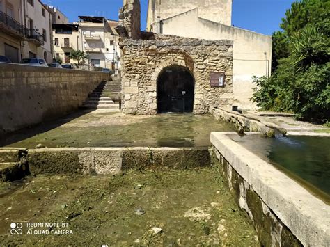 Rifiuti E Verde Pubblico Ripulite Alcune Zone Di Alcamo