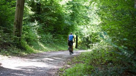 Zwischen Aidlingen Und D Tzingen Radweg Im W Rmtal Wird Asphaltiert