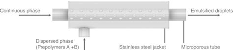 Concept Of The Coaxial Cross‐flow Emulsification Membrane A